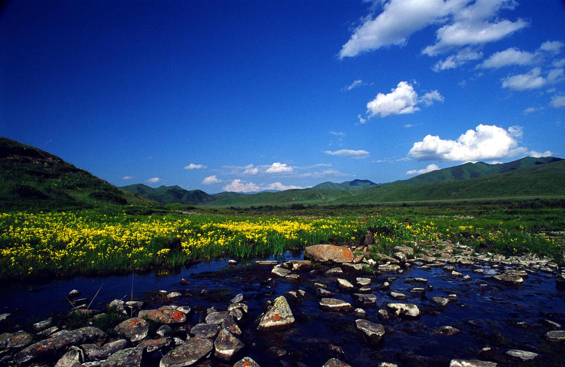 如果你是个爱好自然风光和文化探险的旅行者,那么甘肃省的桑科草原