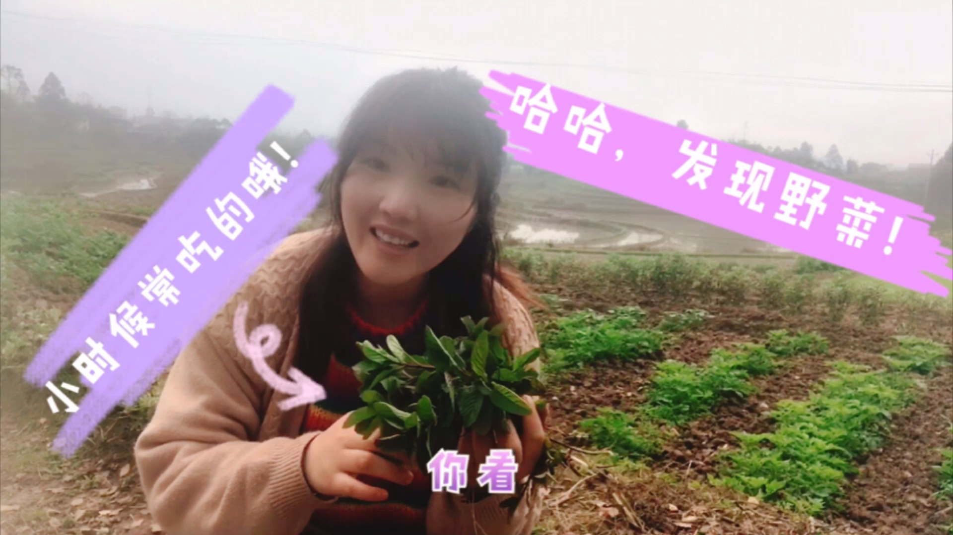 初春去乡里,路牙子发现儿时常喝薄荷野菜,很清香兼食疗功效