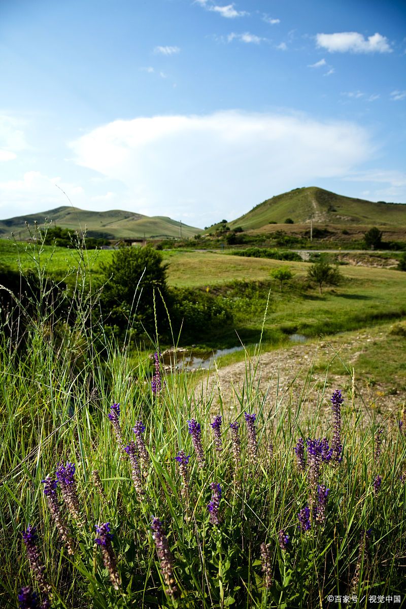 黄花沟:自然与人文的和谐之旅