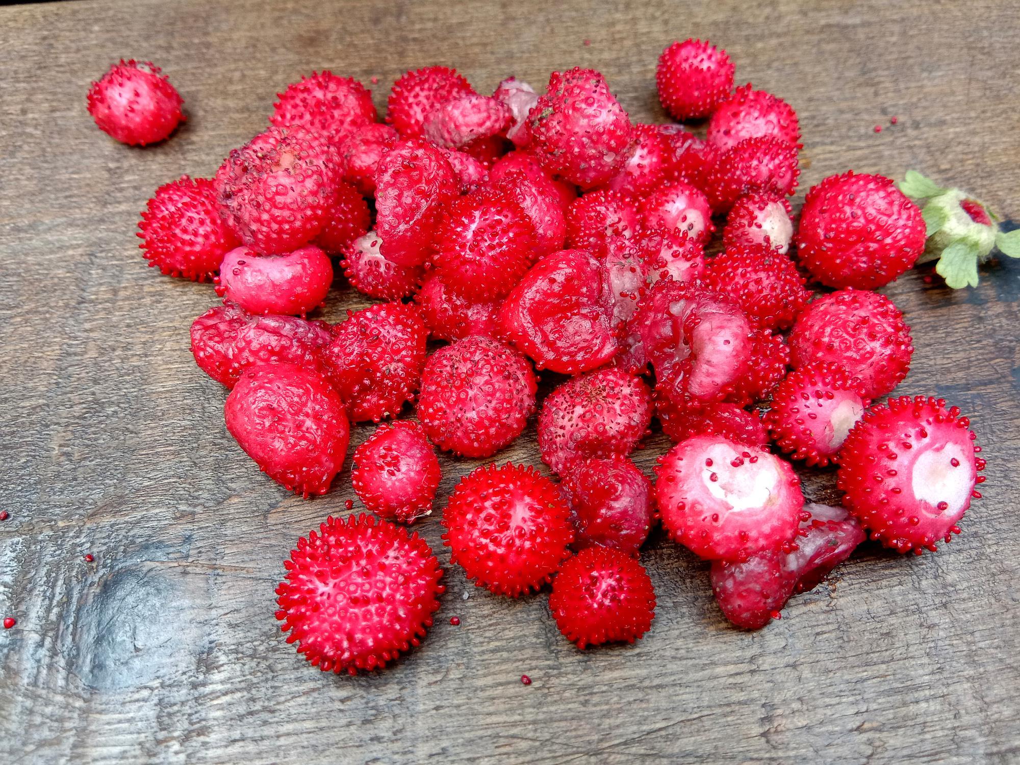 生长在路边杂草中的蛇梅. 转载自百家号作者:大山里的农业人