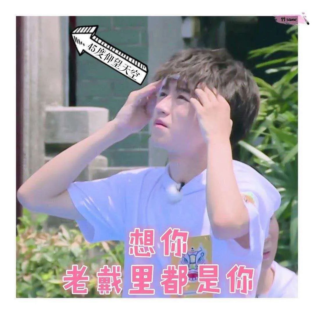 王俊凯表情包快来抱走