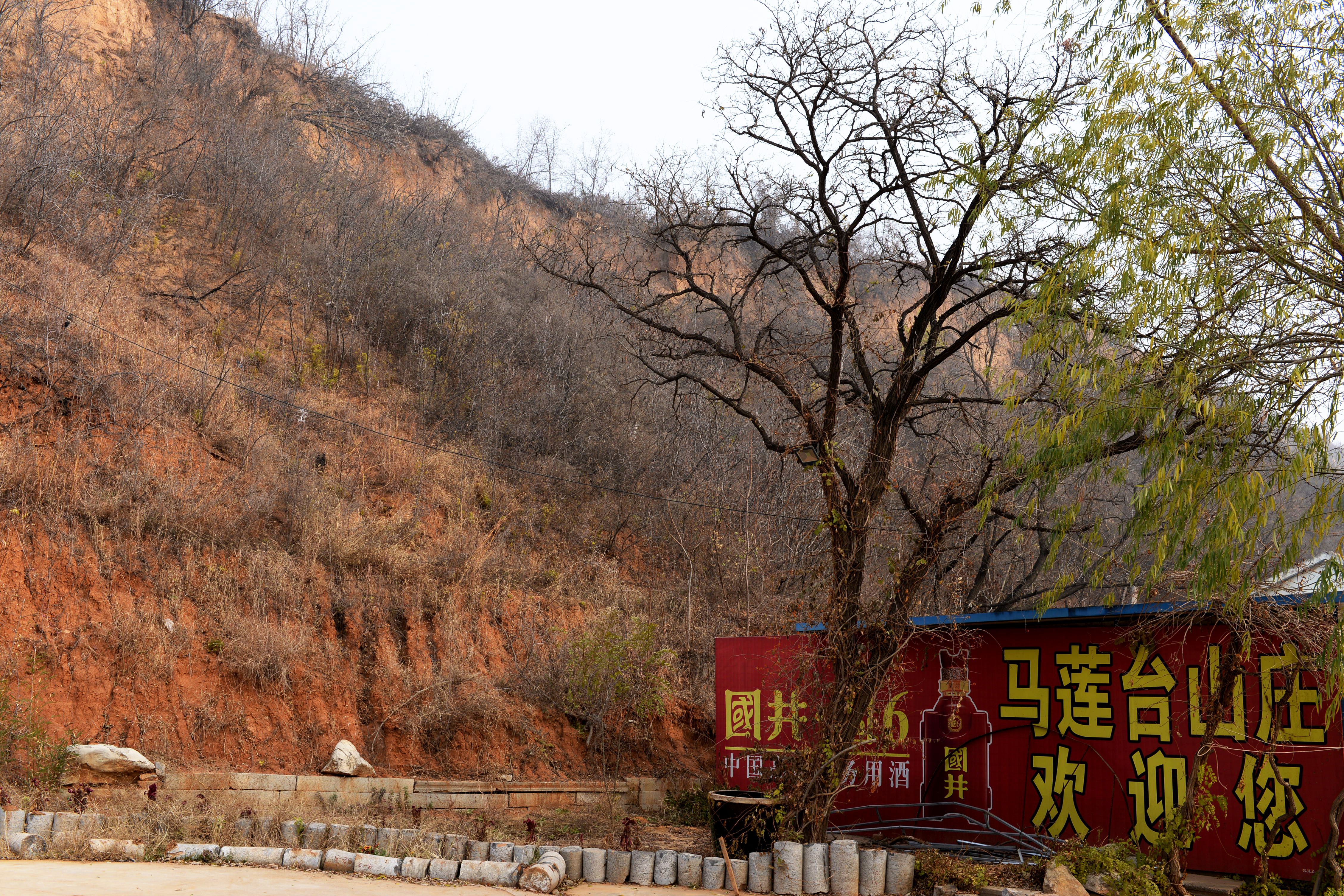 临淄马莲台风景区图片图片