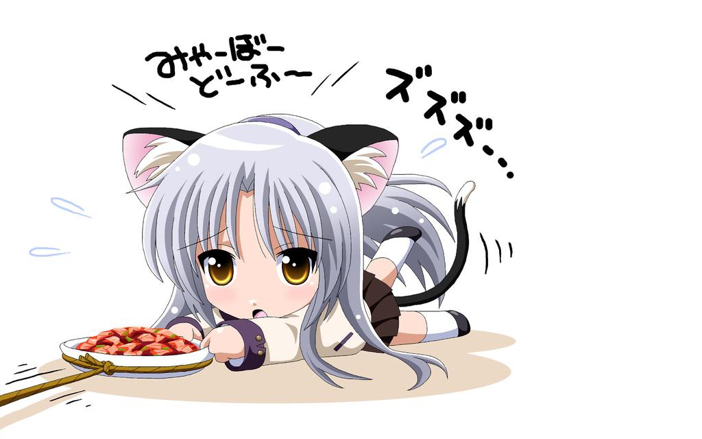 二次元美女之最美猫耳娘,有你喜欢的角色吗?