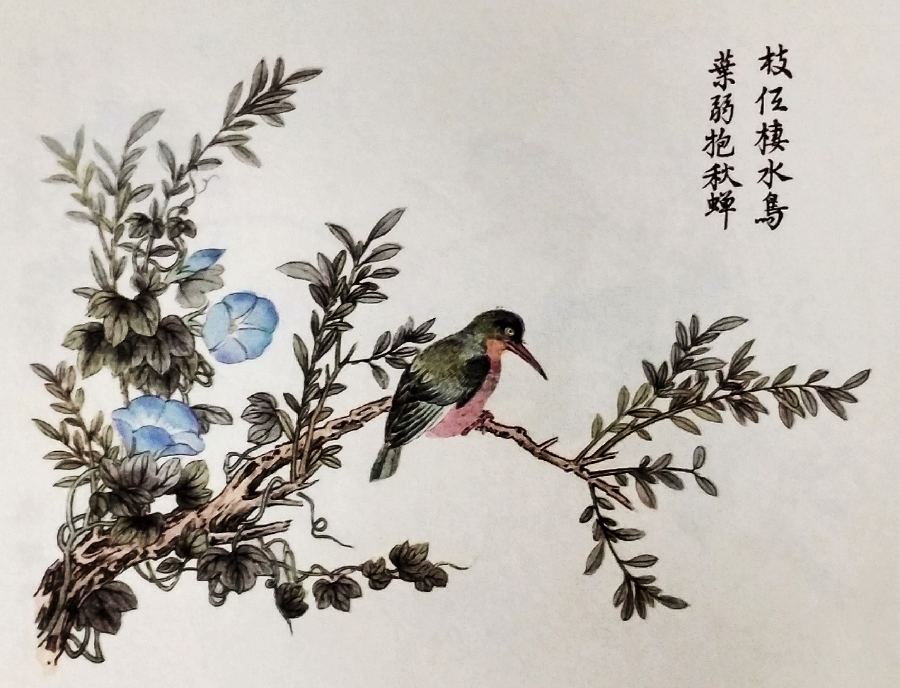 芥子园花鸟画100幅图片