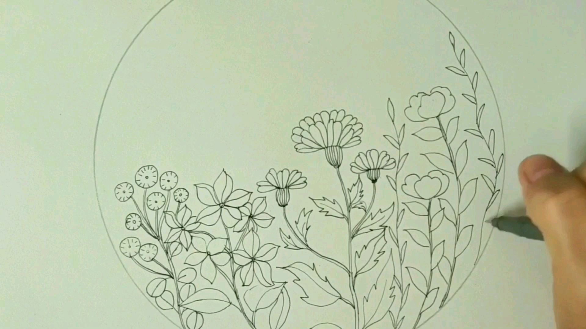 简笔画起来,蜜蜂与蝴蝶的花园~