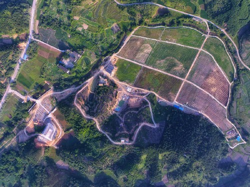 广西钦北区建成一批扶贫产业示范小区