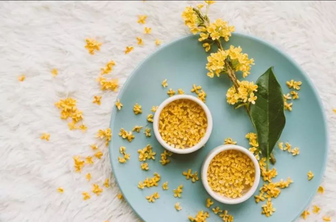 魔都9个赏桂好去处,闻桂香,喝桂花茶,尝桂花