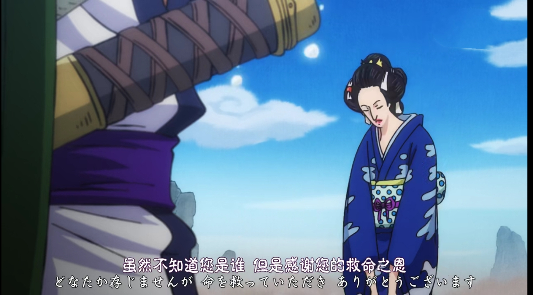 海贼王:和之国篇,茶店老板娘阿鹤身份之谜