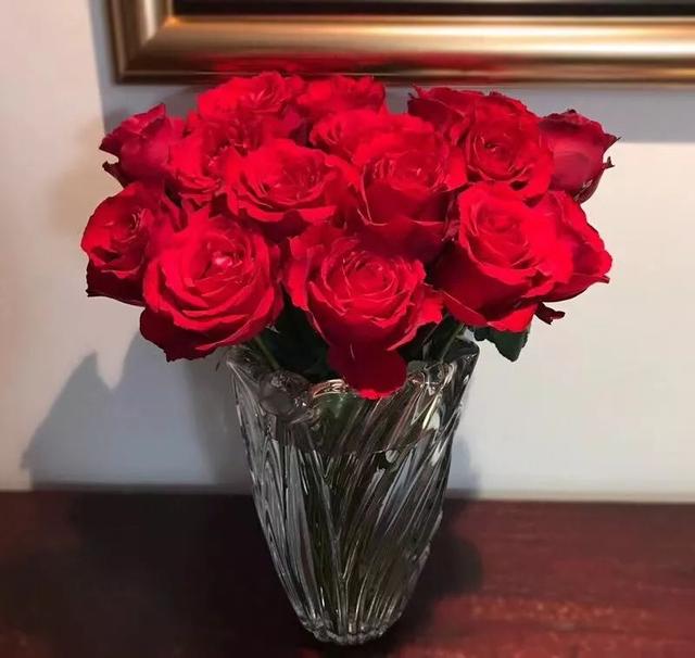 24,法兰西 不易灰霉,花期较长