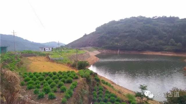 温州永嘉蛟池寺古道,寺古情依旧!