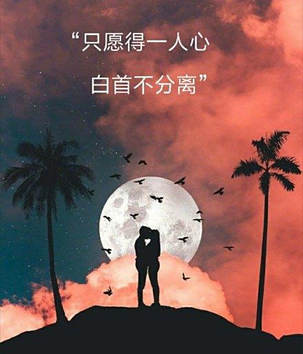 愿得一人心,白首不分离