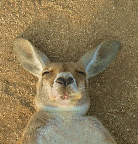 逸阳搞笑联盟 百家号02-2216:14 本文由百家号作者上传并发布,百家号