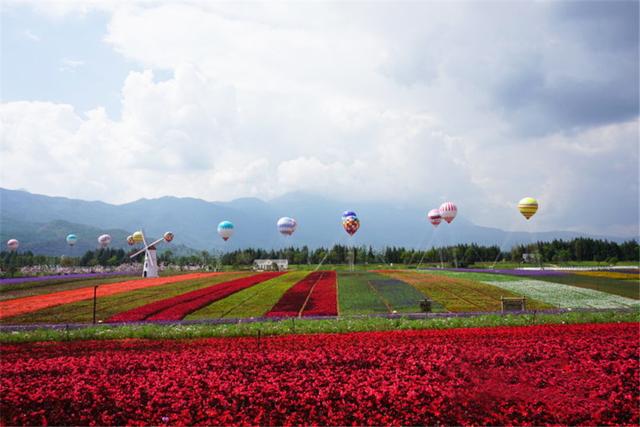 丽江雪山花海乐园烟花图片