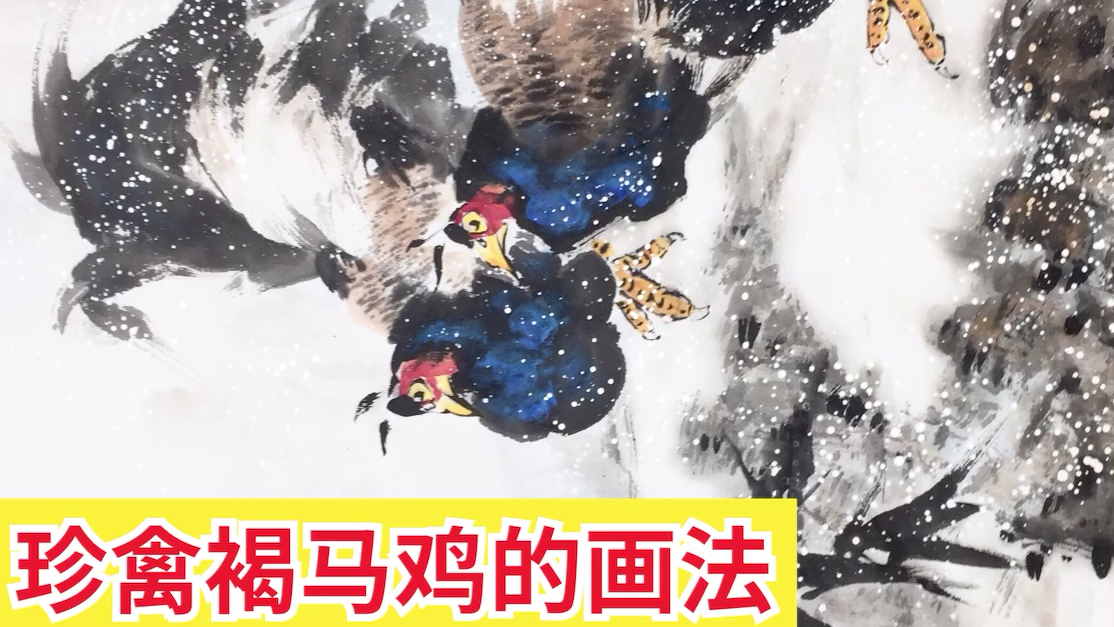 珍禽褐马鸡的画法