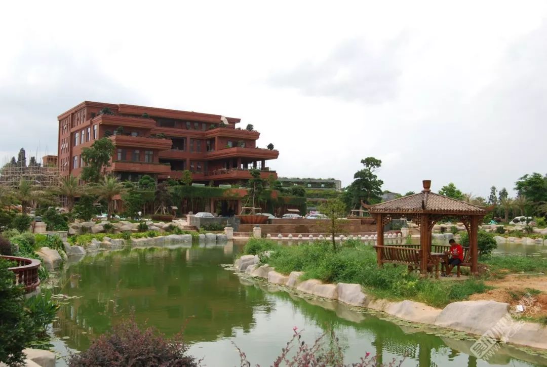 粤西第一豪宅,造价4个亿?全用梨花黄木?竟然在湛江