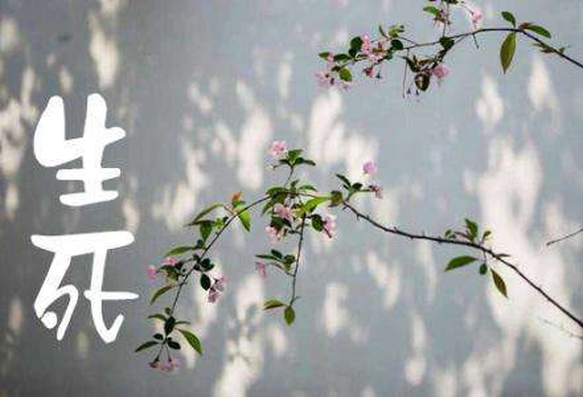 上海17岁男孩跳桥# 4月17日晚10时左右,上海卢浦大桥一名17岁在校
