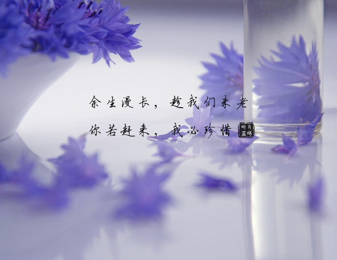 最深爱的人,终是难以忘怀