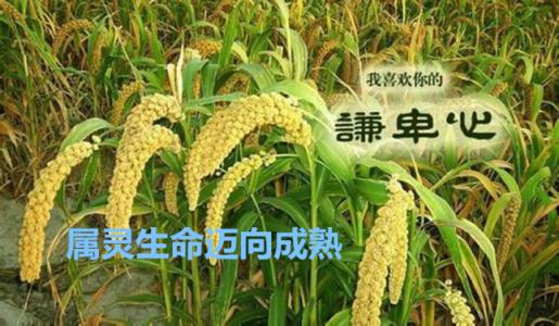 刘备重用诸葛亮的事迹,告诉你谦卑能让你的人际关系更好