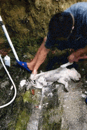 搞笑gif图段子:还好我俊俏的面容得以保全