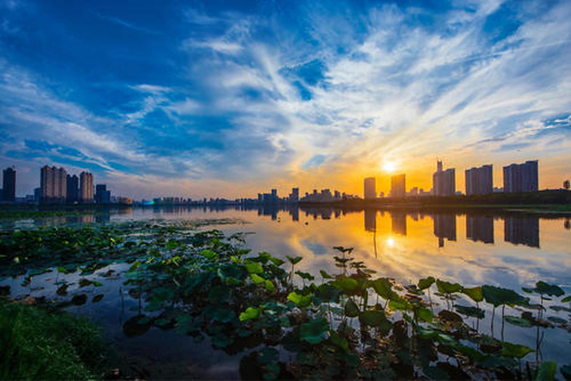 直播武汉·倾城时光#沙湖公园,沙湖公园,是武汉最惊艳的城中湖泊公园