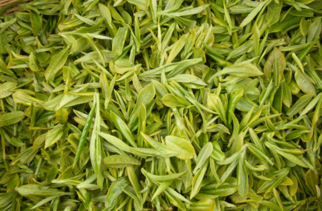 茶叶- 热门商品专区