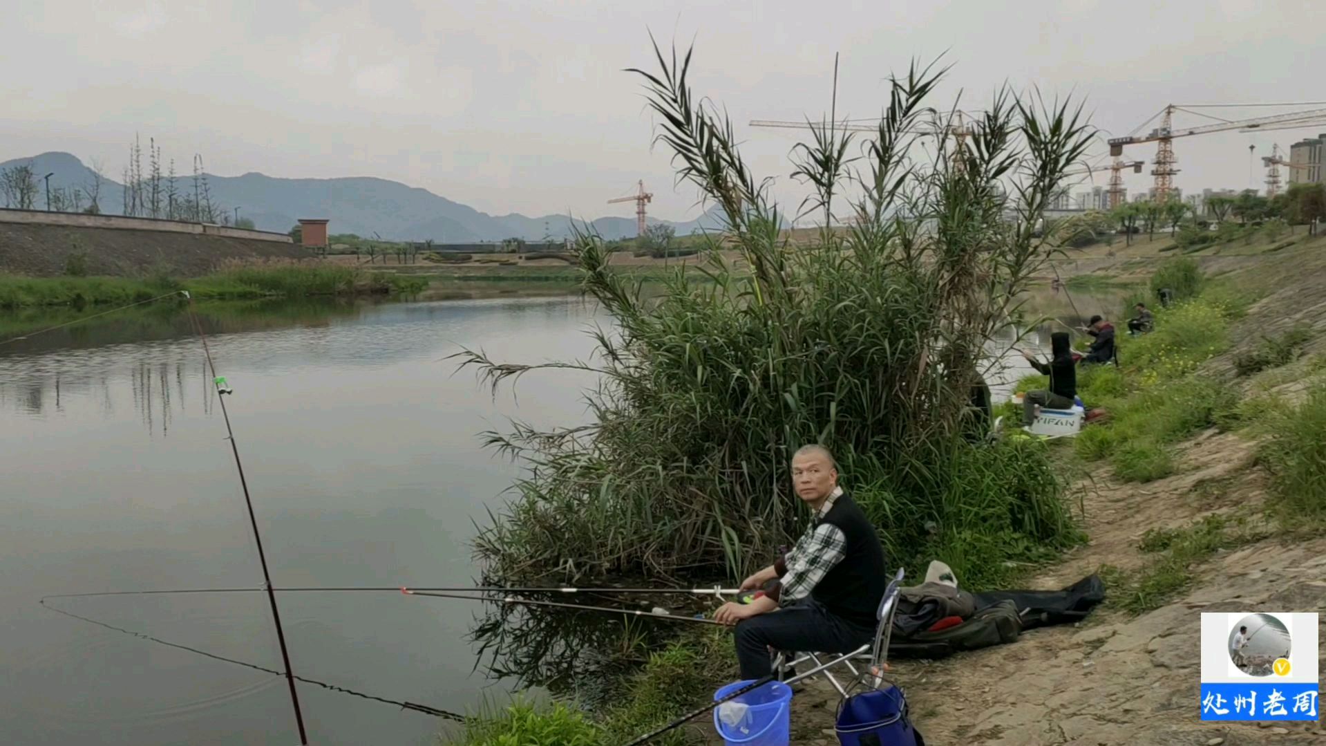 这条河有鲫鱼鲤鱼草鱼鲶鱼,看一下我钓的是什么鱼