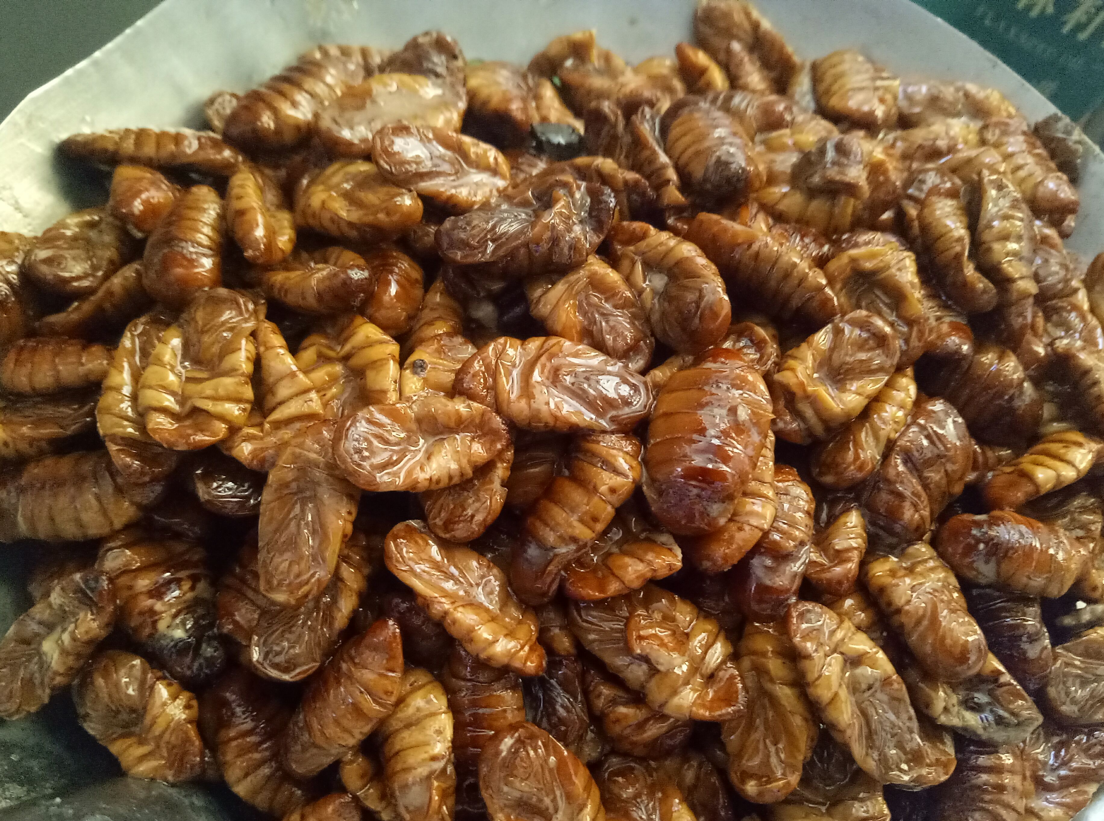 香辣小蚕蛹-夏天济南喝扎啤吃的小菜