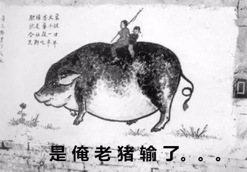 这些比段子还搞笑的台湾新闻,第一条就笑喷了哈哈哈哈哈