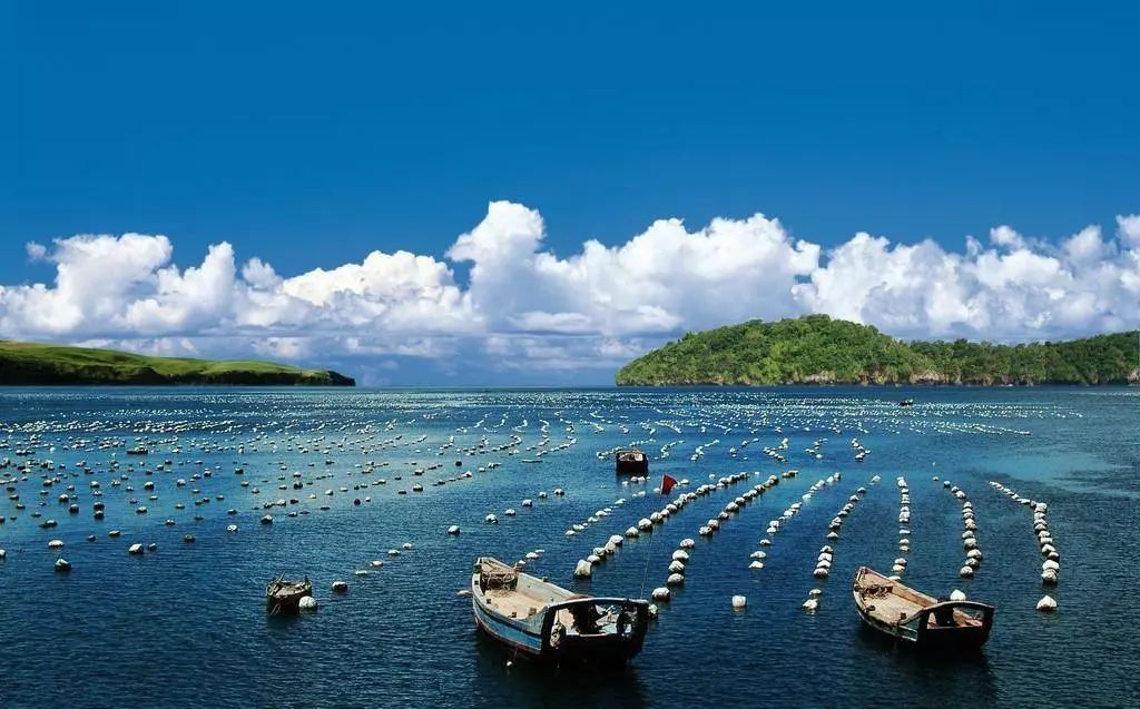 「九张创新名片之六」海洋资源开发利用