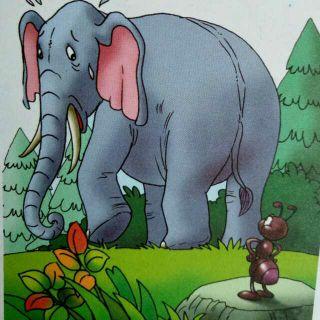 幽默故事:蚂蚁和大象
