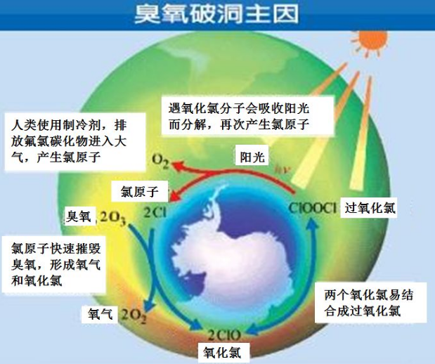 他的发明,让他成为"历史上杀戮最多的个体",他也死在他的发明