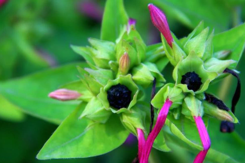 地雷- 热门商品专区