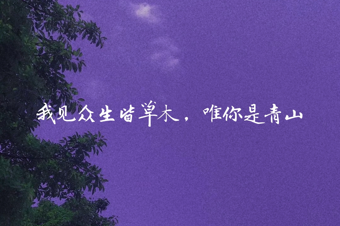 情话:我见众生皆草木,唯你是青山