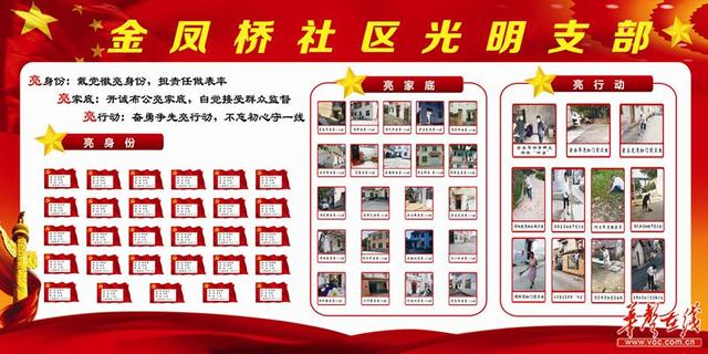 岳阳经开区党员先行,"三亮"助力"双攻坚"