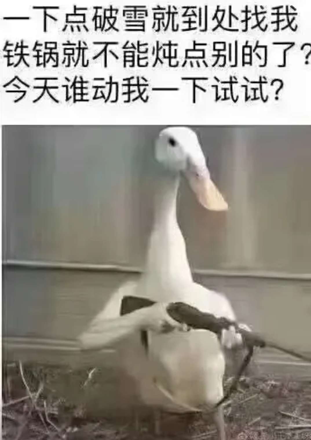 幽默搞笑图片:听完医生的我决定取消约会!