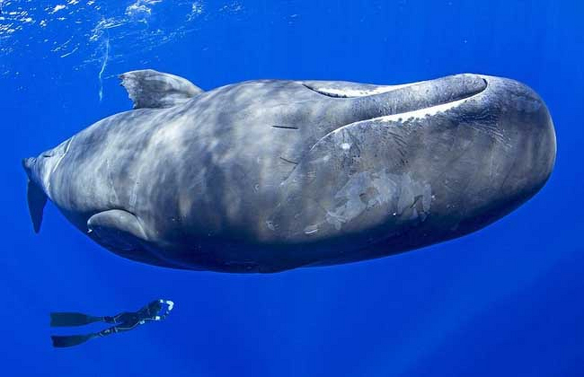 今日热点#【跟随胡侃看历史上的1月26日】2004年