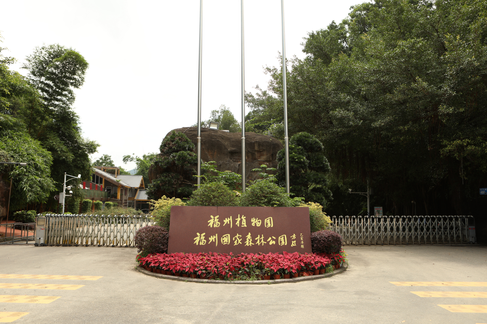 福州国家森林公园,拥有众多植物观赏园,植物爱好者们的天堂