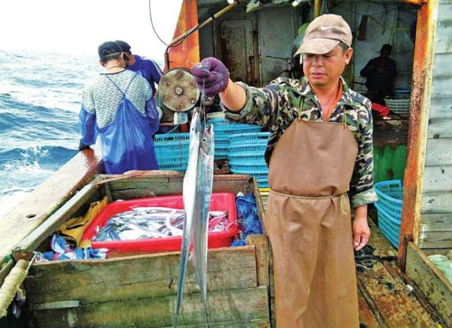 玉环"非遗"延绳钓再上央视 每日能钓千斤带鱼