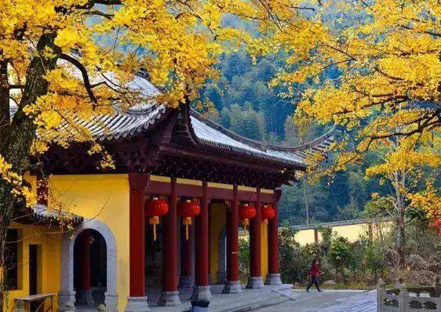 现在栖隐寺的前身是"汉口佛教正信会"(简称佛教会).