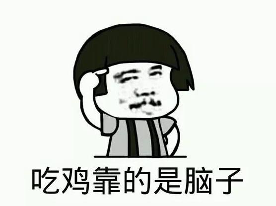 绝地求生:子非鱼安知鱼之乐 苟着吃鸡的快乐谁能懂