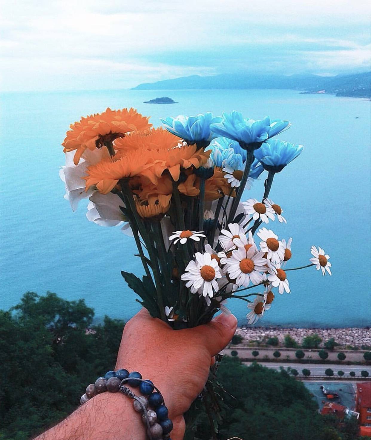 白黄蓝组合的小雏菊,可谓是经典配色吖,在蓝天碧海绿树的映衬下更发