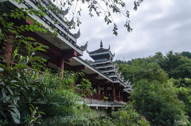 贵州游记48:贵阳药用植物园,一般人别去