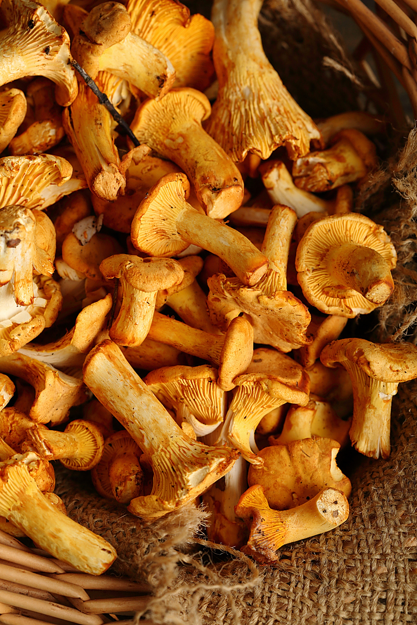 三种简单做法包括猪骨淮山干鲍鱼菇煲汤,香炸干鲍鱼菇和蚝油干鲍鱼菇.