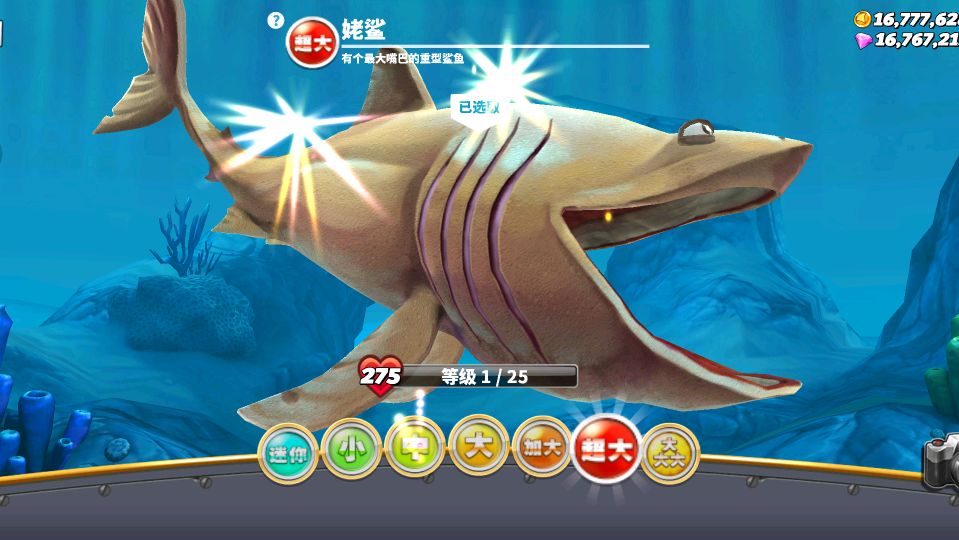 饥饿鲨:这条嘴巴巨大的鲨鱼能吃光海洋所有生物吗?