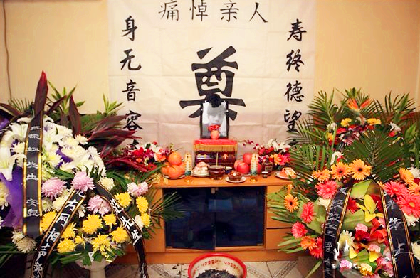 为什么农村老人一直说"猫不进灵堂"?有什么说法吗?