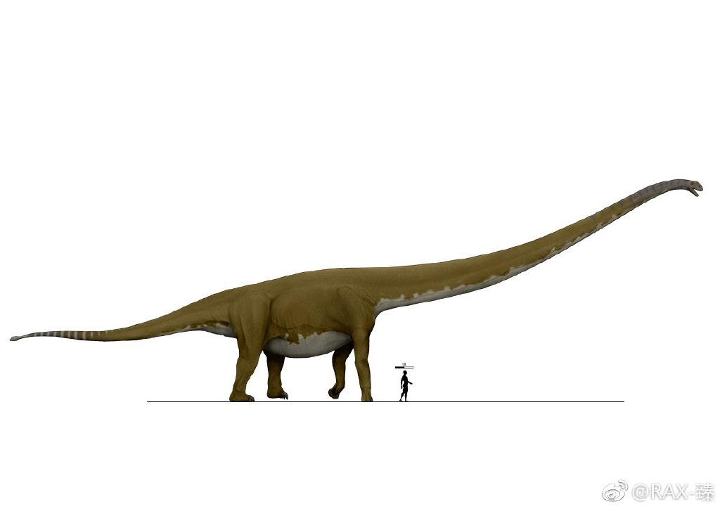 尾锤- 热门商品专区