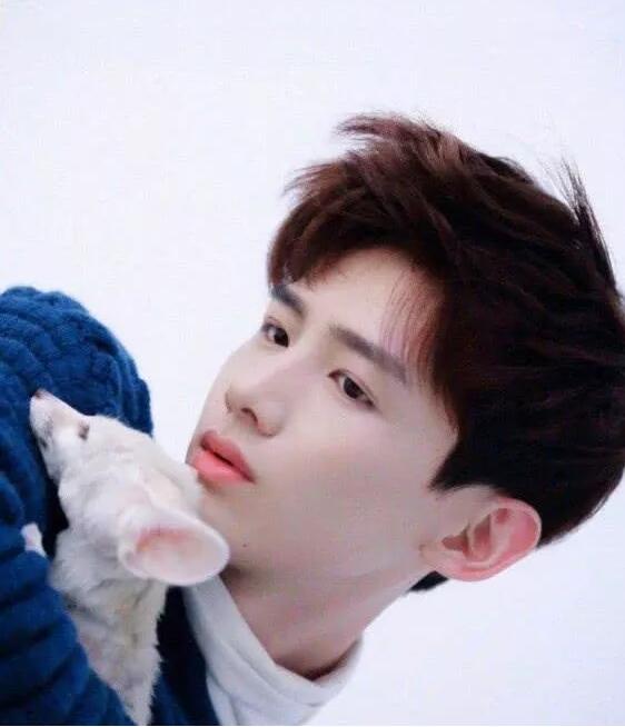 白敬亭日系写真曝光,白衬衫干净俊朗,怀中抱的动物却吓坏网友