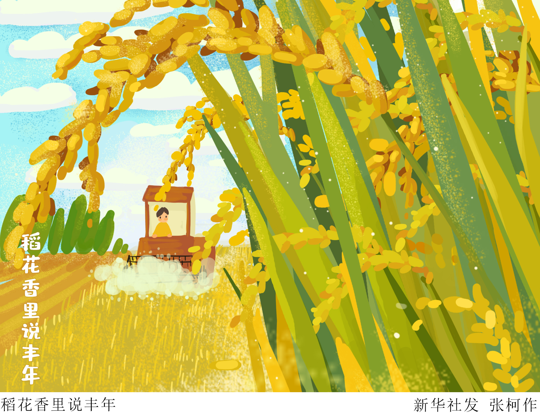 (图表·插画)「丰收节」稻花香里说丰年