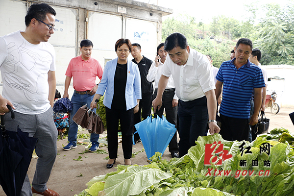 唐湘林到新田调研乡村振兴,脱贫攻坚和防汛备汛工作