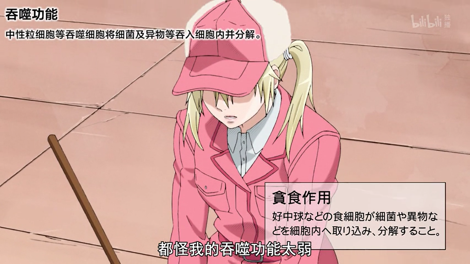 工作细胞:人体细胞科普漫,中二好笑还涨知识!